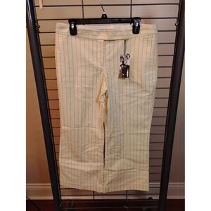 Express Design Studio The Editor Crop Pants Yellow Blue Pinstripe Low Rise 10